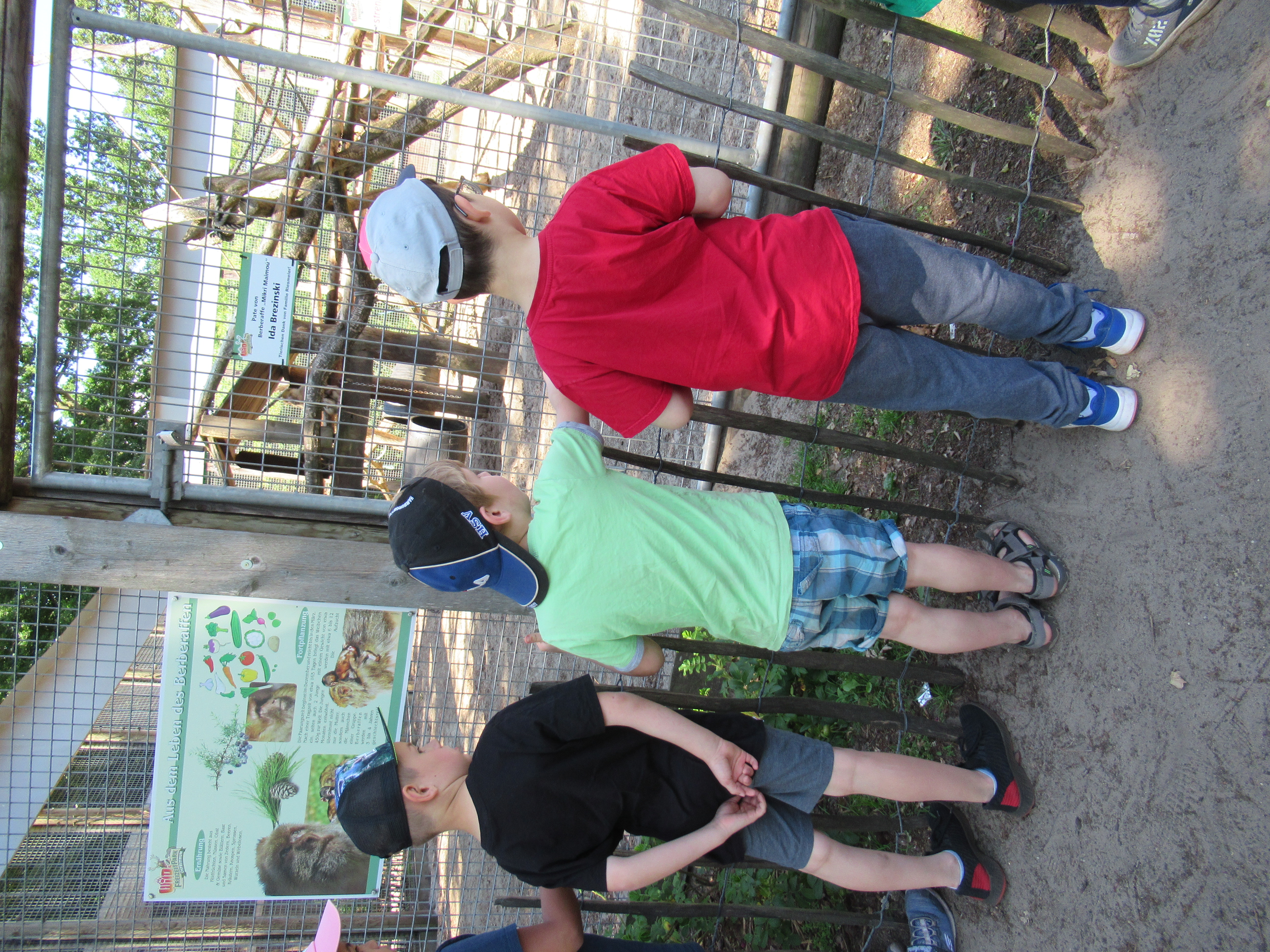 Die Vorschulkinder der DiKiTa hatten einen tollen Ausflug in den Freizeitpark Ostrittrum, mit anschließender Übernachtung. Foto:DiKiTa